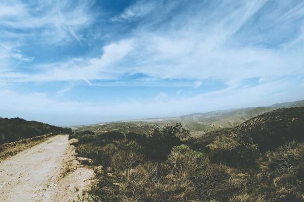 Supply Chain Resilience in 2026: Building Networks That Survive Disruption